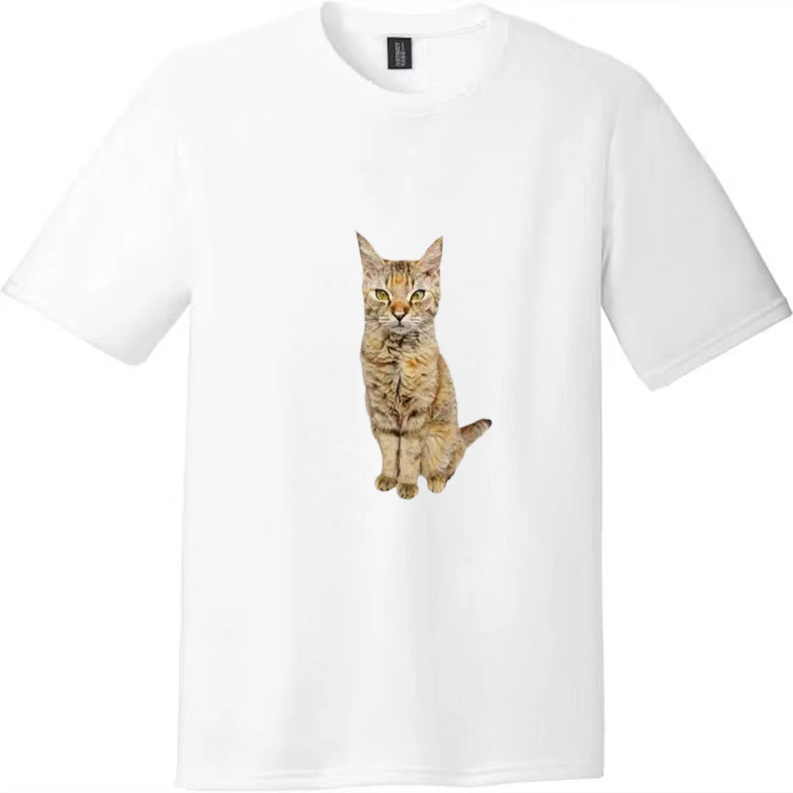 Serious Tabby Cat Graphic Unisex Tee