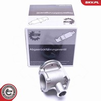 Esen SKV AGR Ventil 14SKV177 FüR BMW 3Er Touring E91 6Er E63 E90 E64 X3 E83 5Er