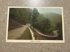 Vintage Double Horseshoe Curve Postcard Williamson West Virginia & Logan WV