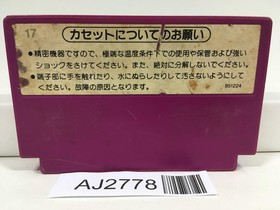 AJ2778 Spartan X Kung Fu Master Nintendo Famicom NES Japan
