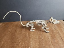 Rat Skeleton Spooky Bones Faux Dead Animal Prop Halloween Decoration