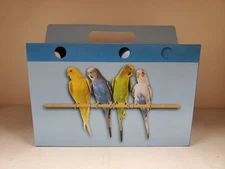 Cardboard Carrier for Small Animals or Birds, Lot of 40  (9"x6"x6")