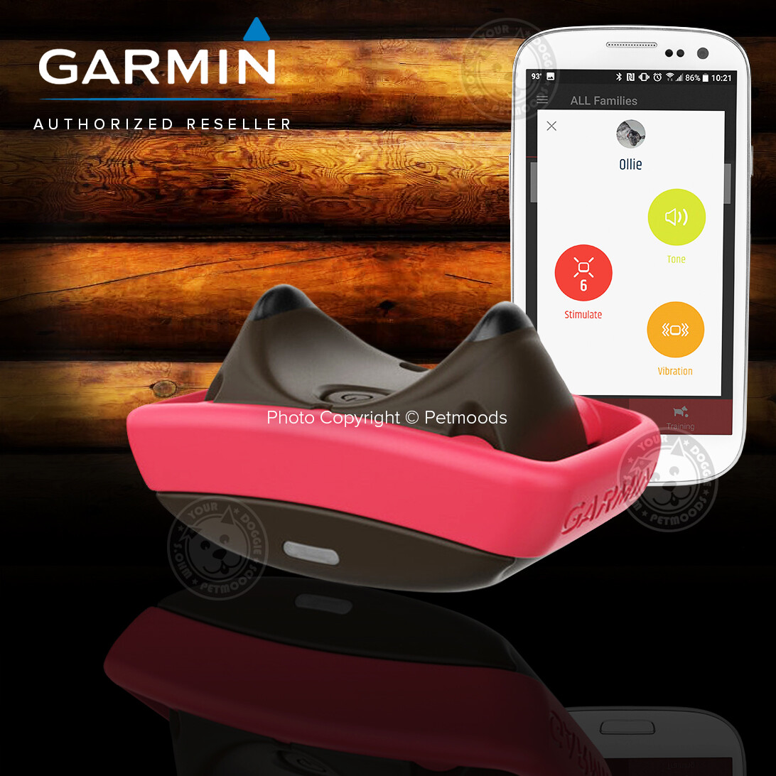 garmin smartphone shock collar