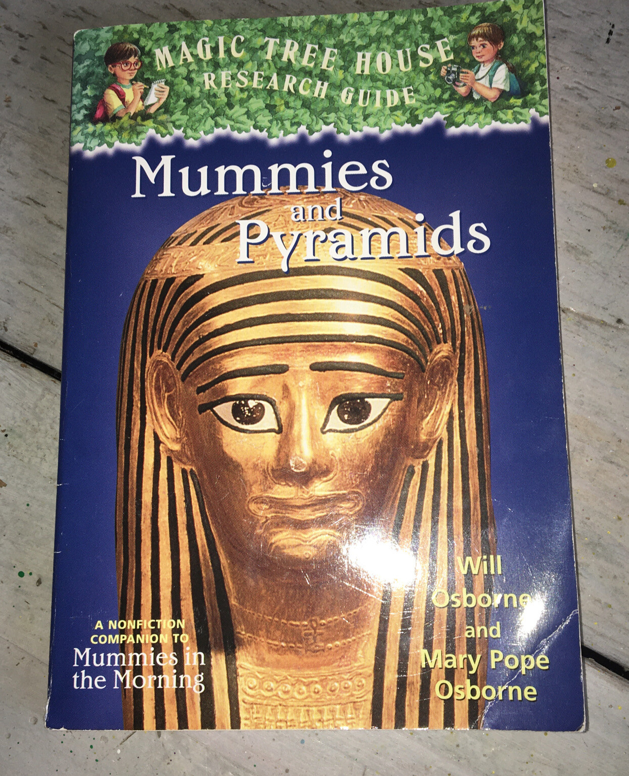 Magic Tree House Books LOT OF 9 Random/Assorted Paperback Chapter Books