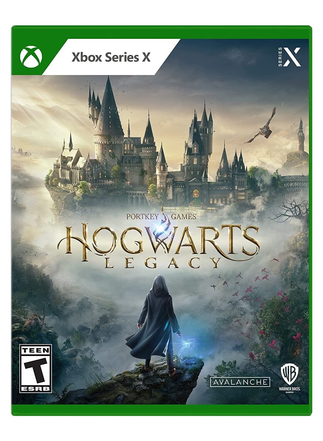 Hogwarts Legacy - Xbox Series X : Target