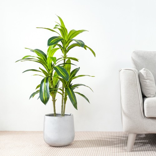 Artificial Agave Tree w/Plastic Planter and Artificial Moss for House Office - Picture 26 of 55