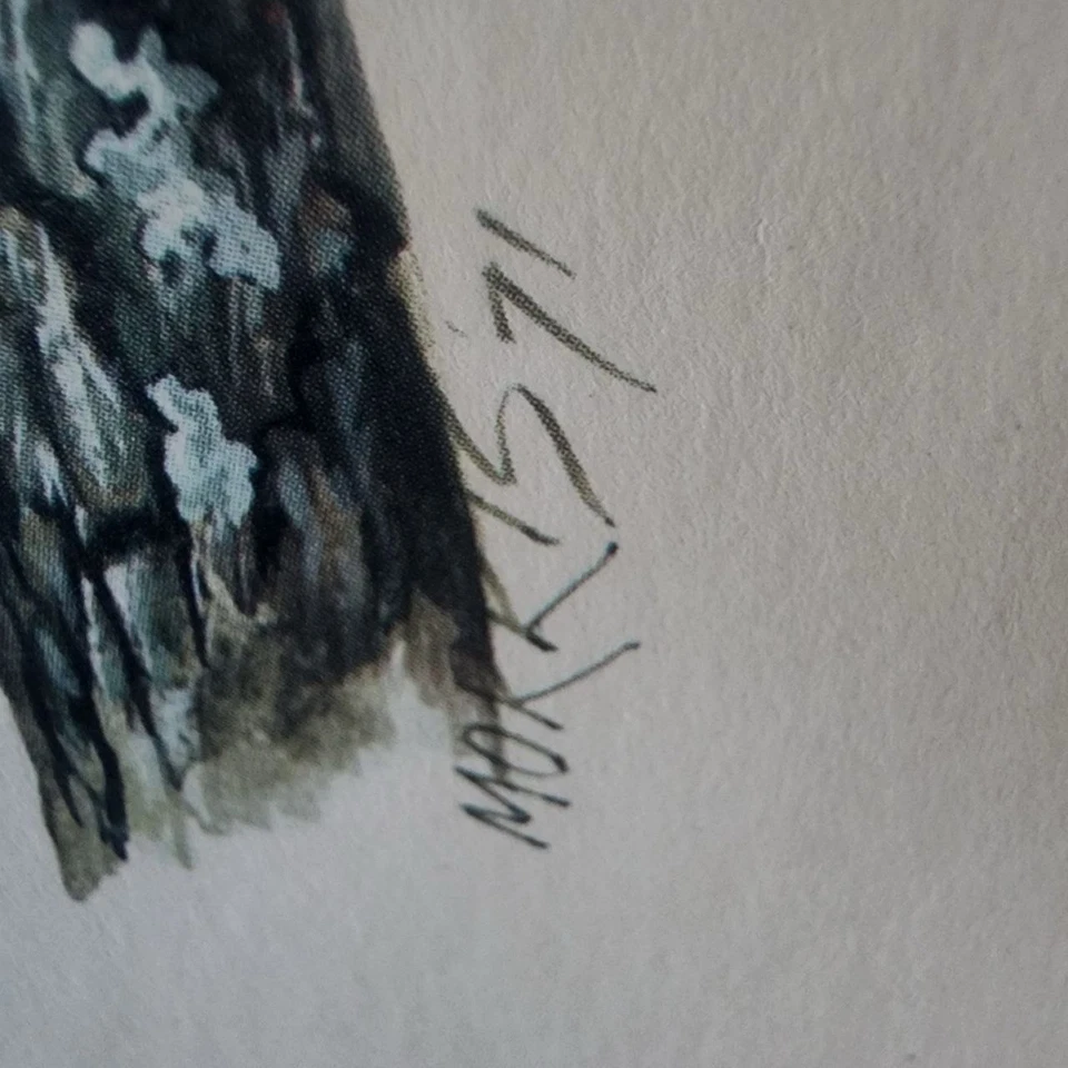 Impresión Morris 1971 Foto 4 de 4