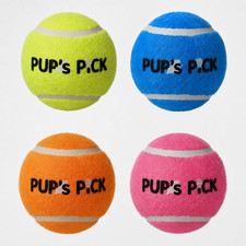 Squeaky Tennis Balls - 2.5" Fun Dog Balls for Fetch, 12-Pack in Bright Colors Y