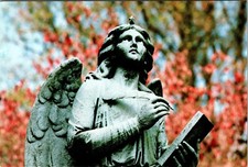 Continental Postcard Angelic Statue with Book Mead Mark Julius Friedman