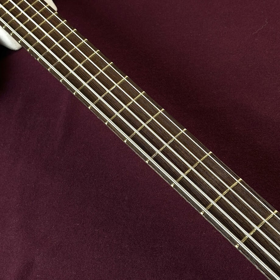 ベース warwick TeamBuild PS ThumbBass 5st NEW* Warwick Team Build PS Thumb Bass BO 5string TS *LEFTY