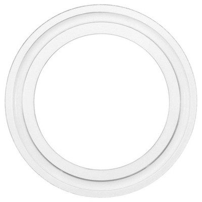 GRAINGER APPROVED  Sanitary Gasket,Clear,0.2 in Thickness 810LC9