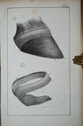 Bild 5 von 6