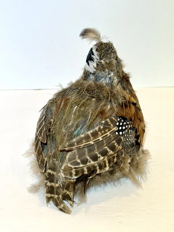Настольные перепелиные крепления реплика из перьев и пены Taxidermy - Изображение 3 из 4