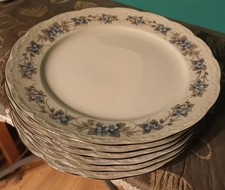 Mitterteich Bavaria Forget Me