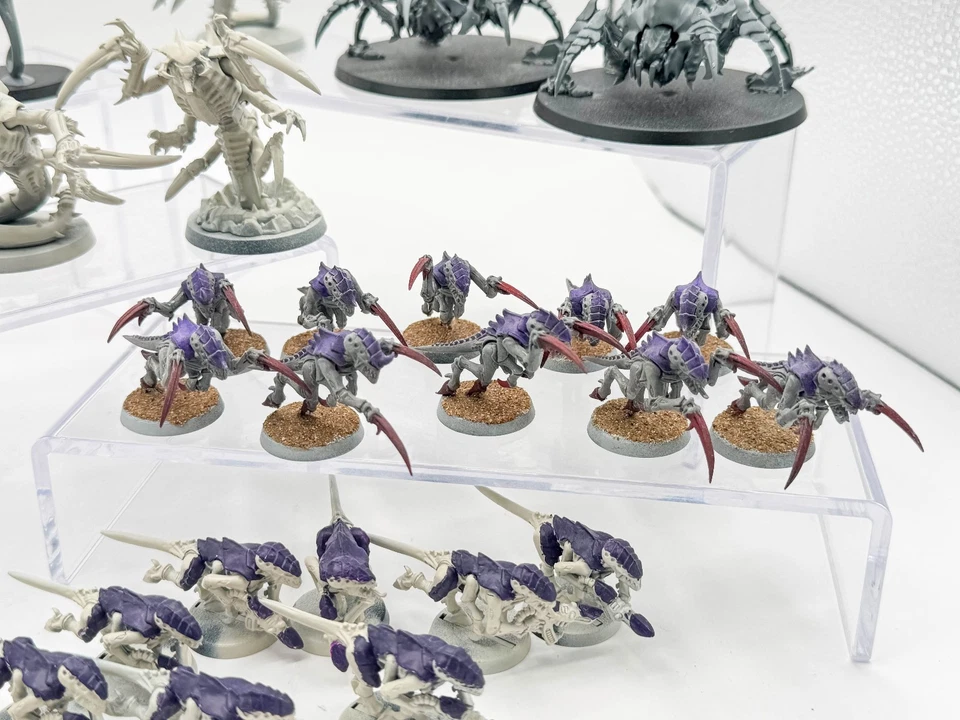 Biovores + Hormagaunts + Ravener Brood + Venomthropes + Zoanthropes Tyranids Foto 4 de 4