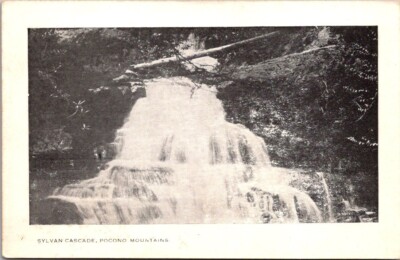 Sylvan Cascade Pocono Mountains White Border Postcard