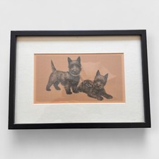 Vintage Scottie Scottish Terriers Dog Puppies Print Framed