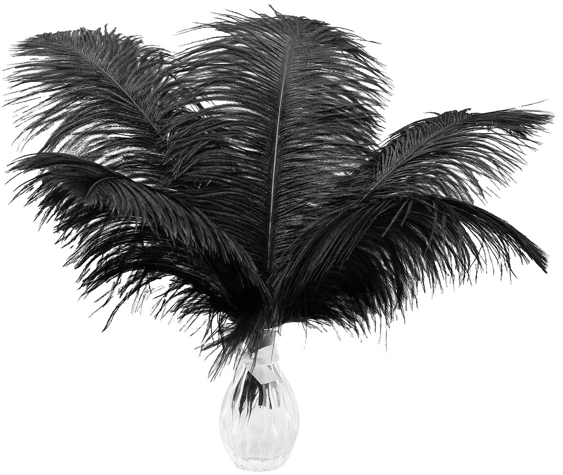 Ostrich Black Craft Feathers
