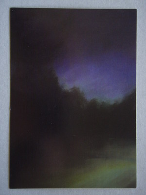 Sheridan Brown Urban Nature Chapman & Bailey Postcard