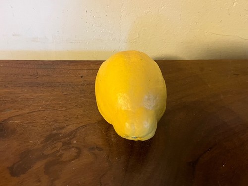 Penkridge Ceramics Tromp L'Oeil Porcelain Fruit Lemon Sculpture England - Picture 9 of 11
