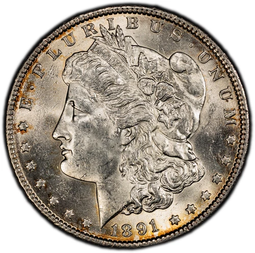 1891 (P) Morgan Silver Dollar PCGS GOLD SHIELD MS62 (Looks MS63) TONED ORIGINAL!