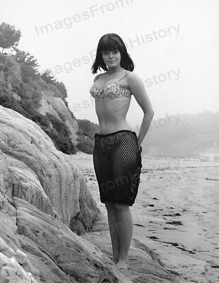 Nina wayne nude