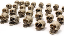 Mini Skull Figurine Miniature Skeleton Head Table Decor,Halloween Micro Landscap