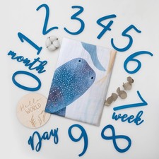 Ocean Baby Milestone Blanket Monthly Photo Prop Boy Under Sea Growth Tracker