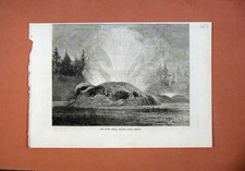 Original Old Antique Print 1873 Grotto Water Geyser Montana America Fine Art