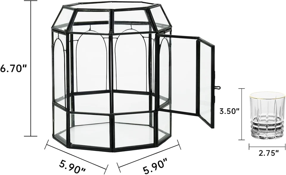 Plantas de terrario de vidrio con tapa, tarro de terrario geométrico negro para aire suculento Foto 4 de 4