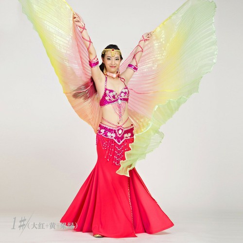 Costume Egitto danza del ventre ali colorate fantasia ali iside festival danza ali - Foto 5 di 18