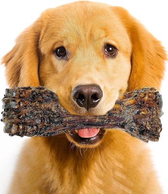 Liver Coated Dog Bones for Aggressive Chewers, Natural 8.78 Ounce (Pack of 1) 