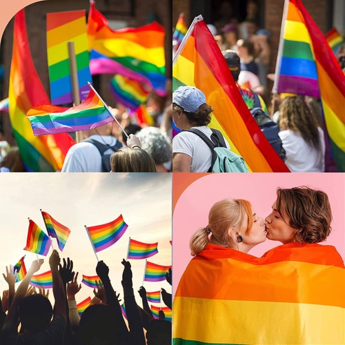 LGBTQ-Flagge- Regenbogenfahne Bi-Flagge Schleife - Bild 5 von 12
