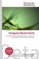 Lambert M. Surhone (U. A.) | Yariguies Brush-Finch | Taschenbuch | Englisch