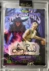 Larry Bird Wicked Hits 1/1 Auto