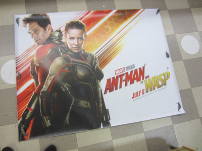Marvel ANT-MAN and THE WASP Motion Picture Vinyl Poster 60'' x 46'' Huge Giant