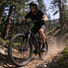 26 Zoll 250W E-City Bike 48V 13Ah Offroad E-Mountainbike 25kmh Trekking E-Bike