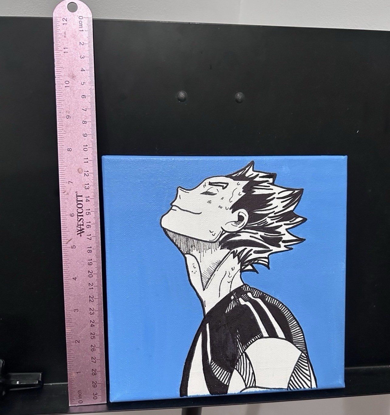 Bokuto Koutarou Hand painted