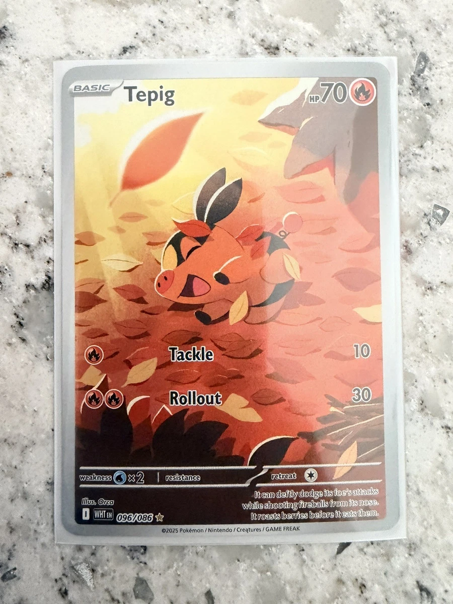 Pokmon Tepig Individual Trading Cards | eBay
