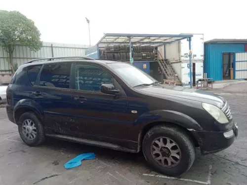 Y220EDP Caja Reles/Fusibles para SSANGYONG REXTON RX 270 Full 2007 502648 - Imagen 9 de 9