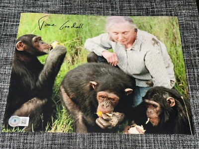 JANE GOODALL SIGNED 8X10 PHOTO PRIMATOLOGIST MONKEY CHIMPANZEE BECKETT BAS COA