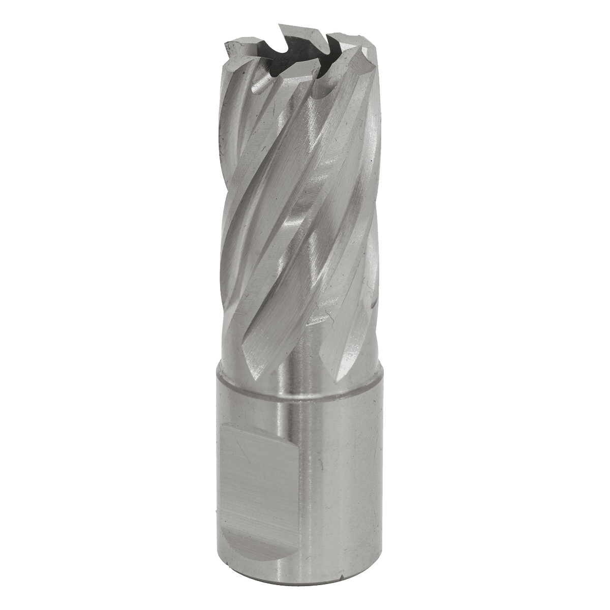 Sealey RBHSS17S Worksafe 17mm HSS Mag Drill Bit Cut Depth 25mm