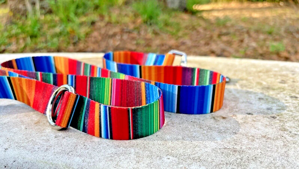 Correa para perro a rayas audaces - correa para perro de 4 pies, correa para perro de 6 pies, correa para perro de 8 pies Foto 3 de 4