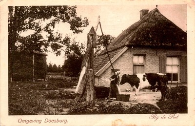 Doesburg, Put No. 11453 Postcard