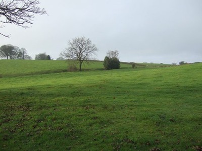 Photo 6x4 Grazing near Clifton Clifton/SE1948 Off Newall Carr Road. c2016