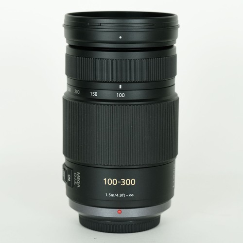 Panasonic LUMIX G VARIO 100 300mm F4.0 5.6 POWER O.I.S. Montaje Micro Cuatro Tercios - Imagen 2 de 12