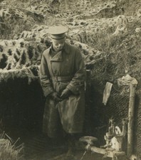 CAMOUFLAGED TRENCH, WWI, STEREOVIEW. 