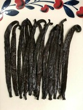 10 Tahitian Grade A Gourmet Vanilla Beans 4 inches 