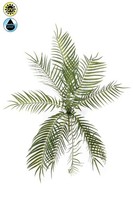 Artplants Deko Schwertfarn Mogral Auf Steckstab, Crossdoor, GrüN, 70Cm