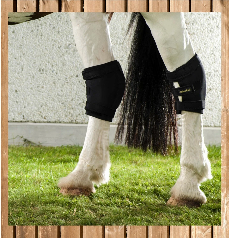 Back on Track Sprunggelenkschoner für Pferde, Hock Boot, Gelenkschoner, Stück - Bild 2 von 2